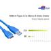 کابل تبدیل USB 3.0 به Micro-B آوانتیری مدل FDKB-USB30B